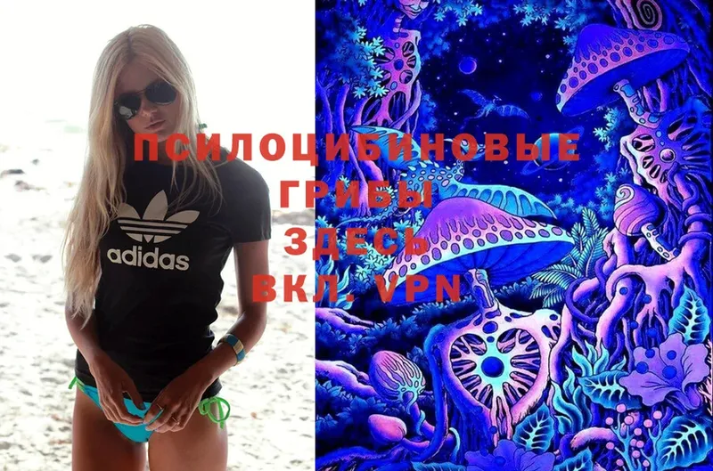 купить закладку  hydra зеркало  Псилоцибиновые грибы Psilocybe  Калачинск 